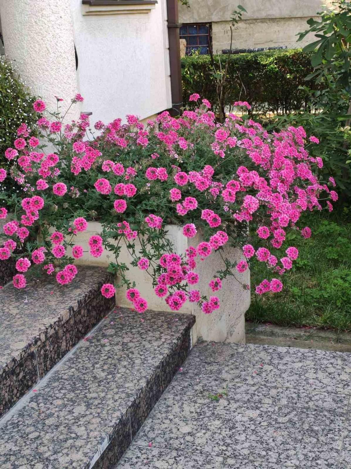Vila Sentic Вране Экстерьер фото
