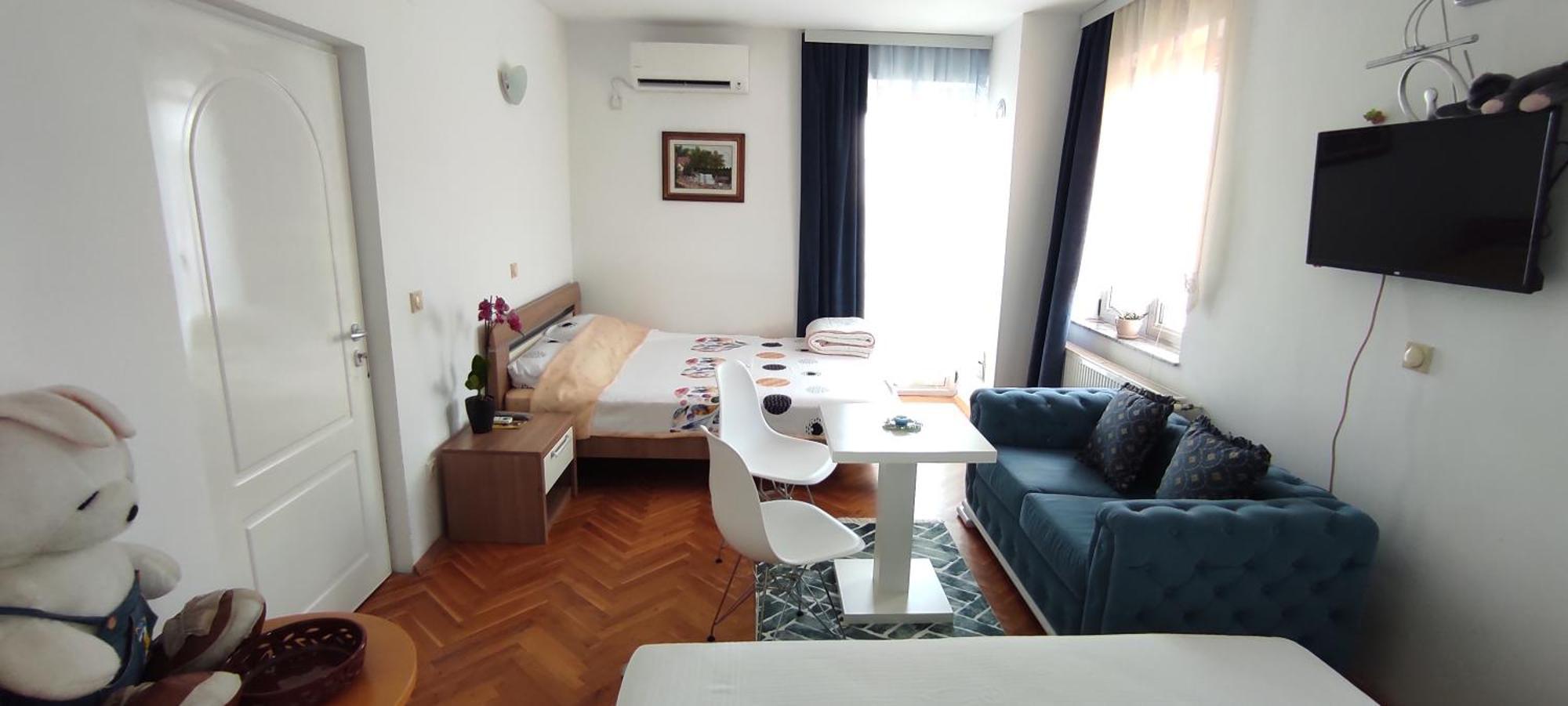 Vila Sentic Вране Номер фото