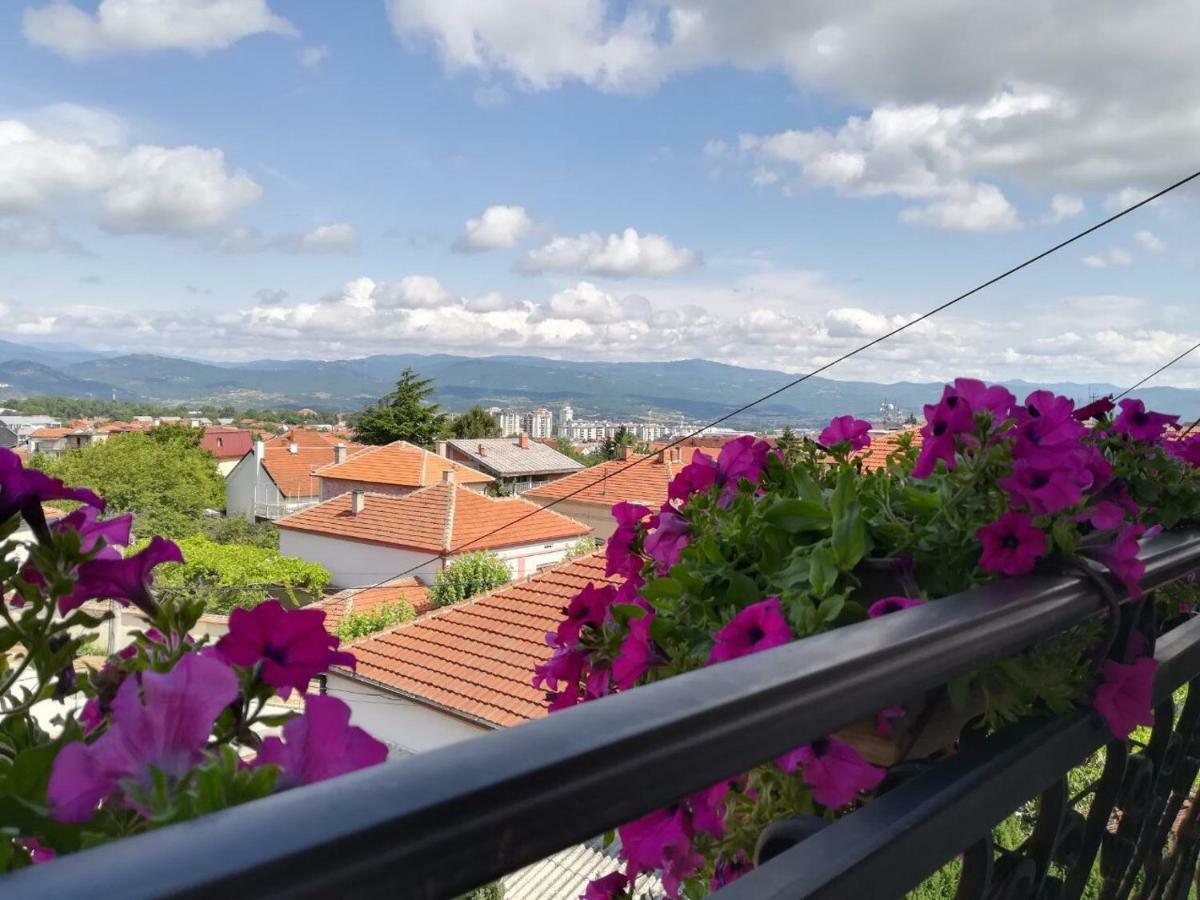 Vila Sentic Вране Экстерьер фото